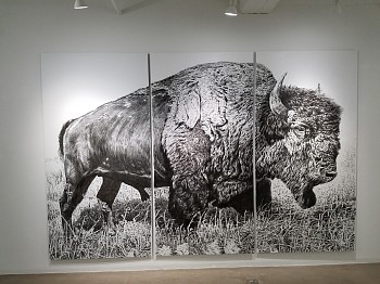 Rick Shaefer, Drawings&nbsp;