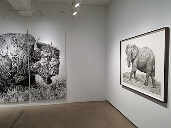 Rick Shaefer, Drawings&nbsp;