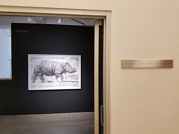 Rick Shaefer, Drawings&nbsp;