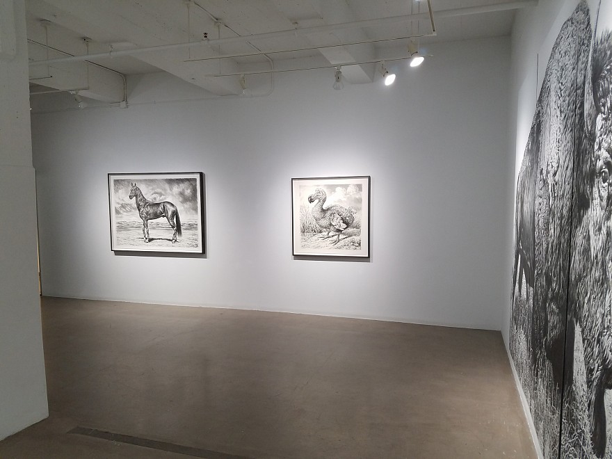 Rick Shaefer, Drawings - Installation View