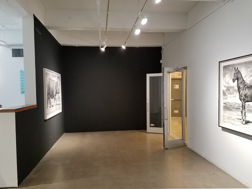 Rick Shaefer, Drawings - Installation View