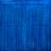 schae042