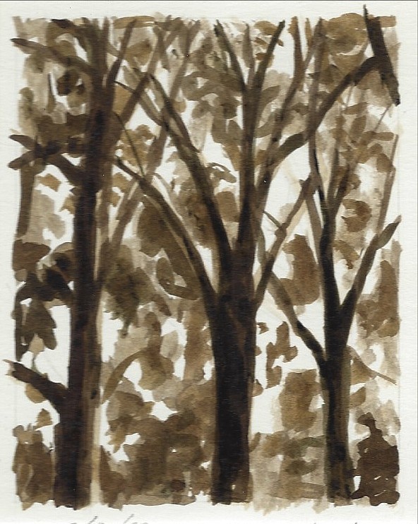 Peter Schroth
Tree Tops, 2000
SCHR387
ink, Paper 14 x 11 inches,  Image 3 3/4 x 3 inches