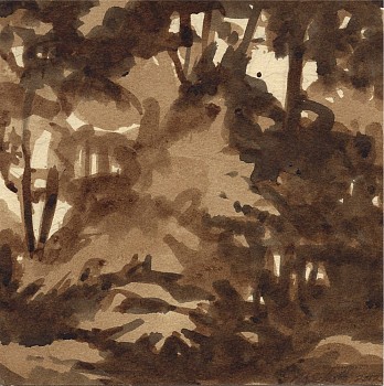 Peter Schroth -&nbsp;Sienna Landscape #9, 2012 plein air wash drawing 12 x 10 inches paper / 6 x 6 inches image SCHR700