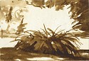 Peter Schroth, Sienna Landscape #12
2012, plein air wash drawing