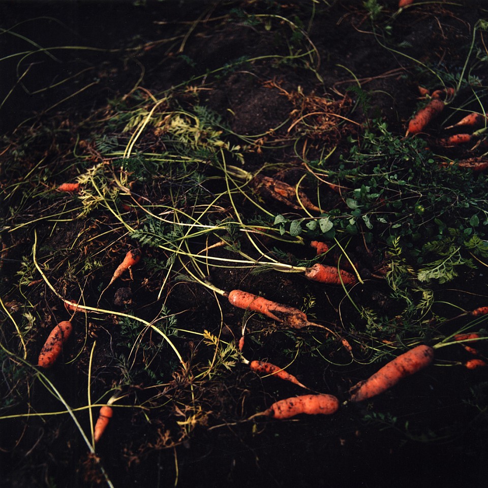 Jason Frank Rothenberg (LA)
Carrots, Edition of 8, 2014
jfr010
c-print, 42 x 42 inches