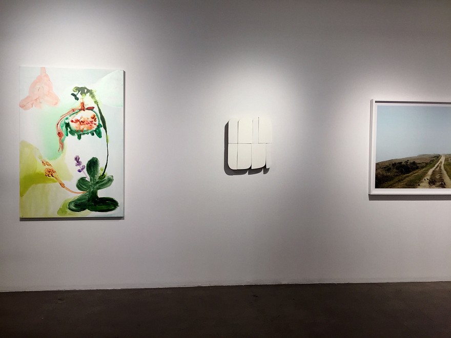 At a Languorous Pace - Installation View