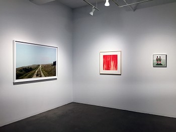 At a Languorous Pace&nbsp;