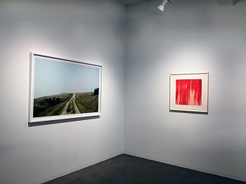 At a Languorous Pace&nbsp;