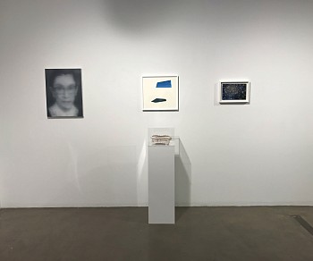 Light in the Dark&nbsp;