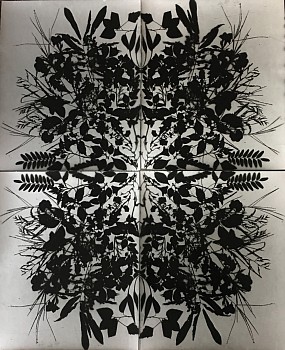 Wendy Small -&nbsp;Remedy, 2017 photogram 48 x 40 inches SMA279