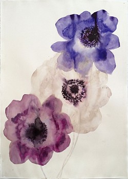 Lourdes Sanchez (LA) - 3 Anemones, 2015 watercolor 39.5 x 26.5 inches SANCH490