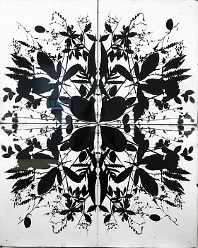 Work: Wendy Small Remedy Indian Lane 1, 2018 black and white photogram 40 x 32 inches SMA282