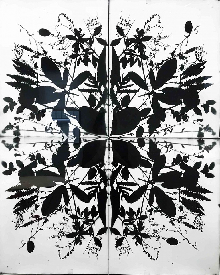 Wendy Small
Remedy Indian Lane 1, 2018
SMA282
black and white photogram, 40 x 32 inches