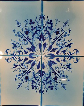 Wendy Small -&nbsp;Remedy, 2015 color photogram 48 x 40 inches SMA202