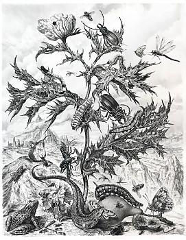 Work:&nbsp;Untitled #6 (The Parson's Tale), 2018 charcoal on vellum mounted on aluminum 61 x 48 inches, 63 x 50 inches framed shaef067
