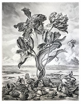Work:&nbsp;Untitled #5 (The Parson's Tale), 2018 charcoal on vellum mounted on aluminum 61 x 48 inches, 63 x 50 inches framed shaef066