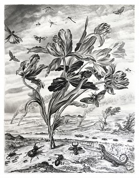 Work:&nbsp;Untitled #3 (The Parson's Tale), 2018 charcoal on vellum mounted on aluminum 61 x 48 inches, 63 x 50 inches framed shaef064