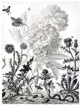 Work:&nbsp;Untitled #2 (The Parson's Tale), 2018 charcoal on vellum mounted on aluminum 61 x 48 inches, 63 x 50 inches framed shaef063