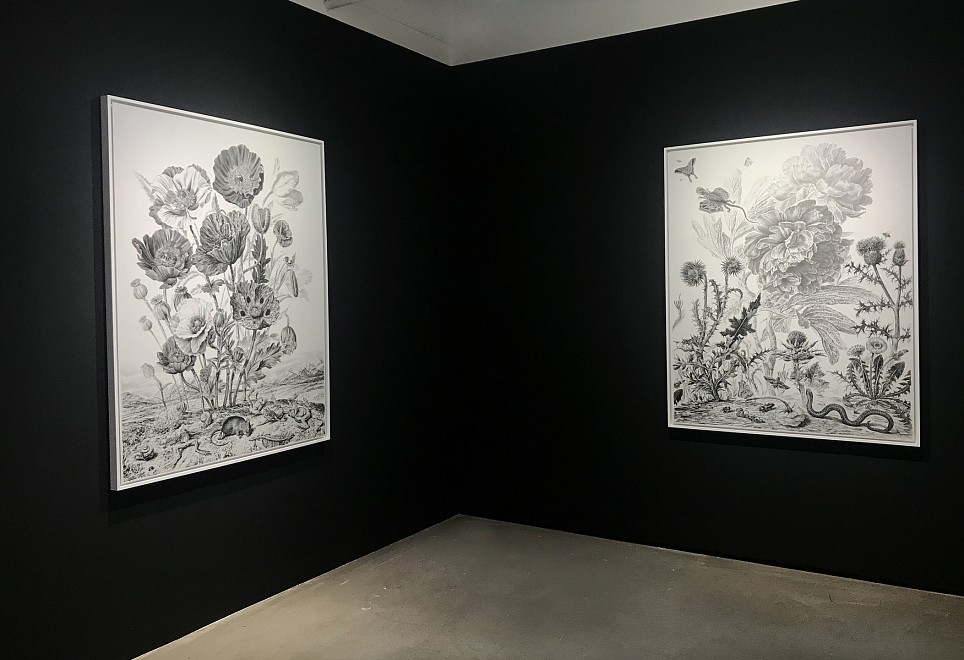 Rick Shaefer, The Parson's Tale  - Installation View