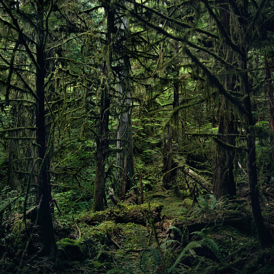 Jason Frank Rothenberg (LA)
Quinault (Interior #1), Edition of 8, 2014
JFR002
archival pigment print, 42 x 42 inches