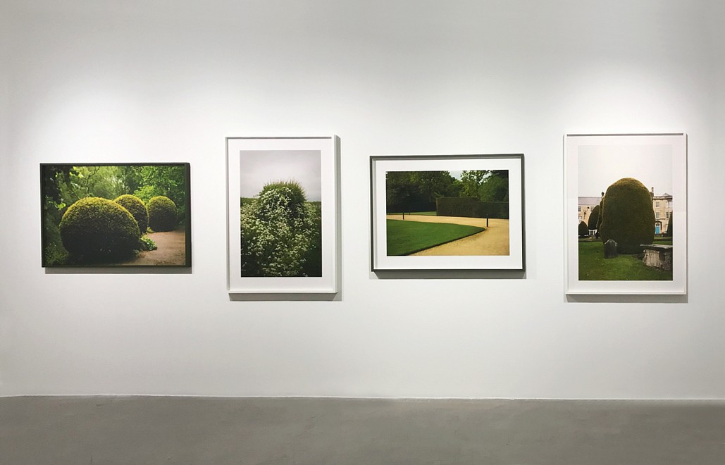 Summer Essentials - Installation View