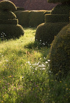 Susanna Howe - Socially Awkward, edition of 9, 2017 c-print 47 1/4 x 31 1/2 inch image HOWE007