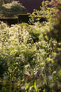 Susanna Howe - Ordering the Mind, edition of 9, 2017 c-print 47 1/4 x 31 1/2 inch image / 48 1/4 x 32 1/2 inch frame  HOWE006