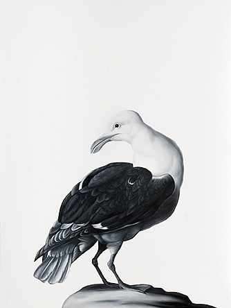Shelley Reed
Gull (after Bogdani), 2017
REE165
oil on paper, 30 x 22.5 inches
