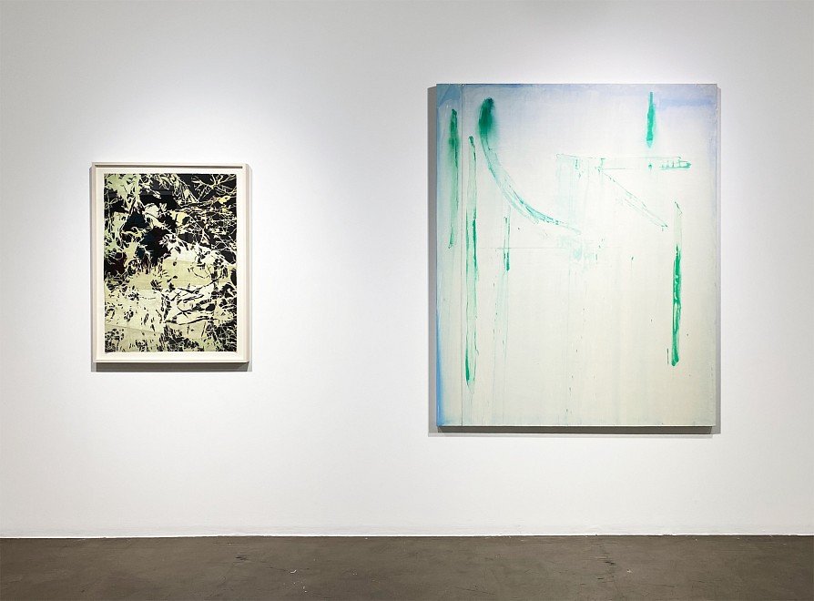 Winter Selections - Installation View