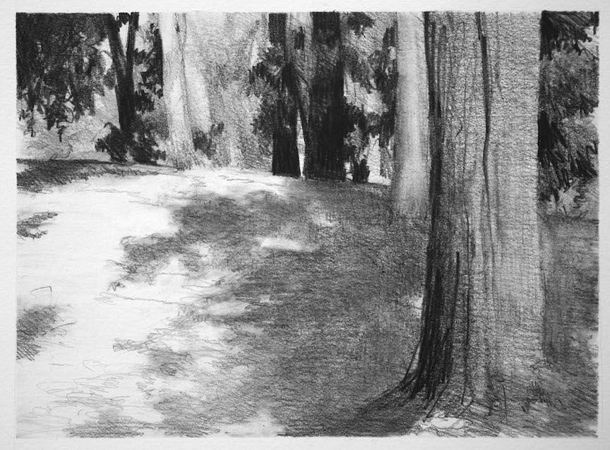 Peter Schroth
Prospect Park 2
SCHR759
graphite on paper, 5 x 7 inches