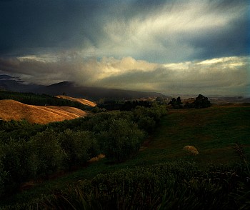 Jason Frank Rothenberg (LA) -&nbsp;Farm #1, ed. of 8, 2020 archival pigment print 42 x 50 inches / 43 x 51 inches framed JFR023