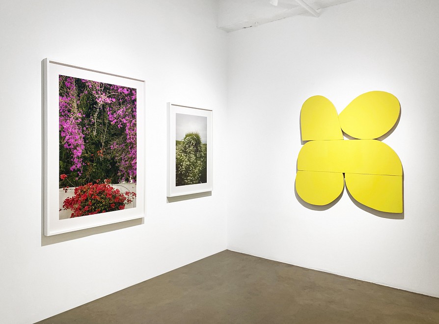 2021: New Year, New Works - Installation View