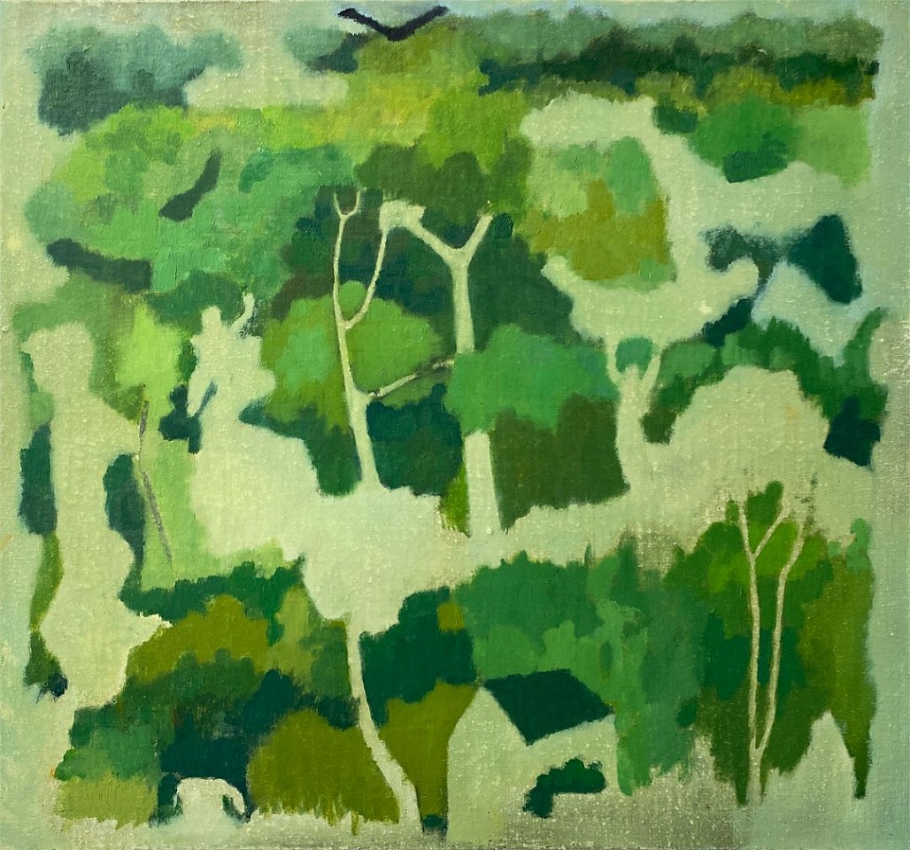 James Kao
Canopy II, 2016
KAO022
oil on linen over panel, 14 x 15 inches / 15 x 16 inch frame