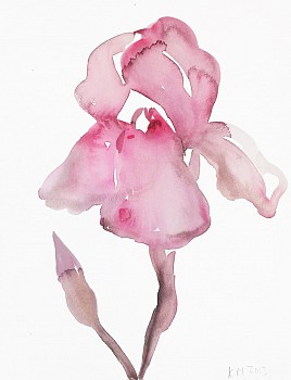 Kim McCarty (LA) -&nbsp;Pink Iris, 2015 watercolor on paper 15 x 11 1/2 inches MCCAR070
