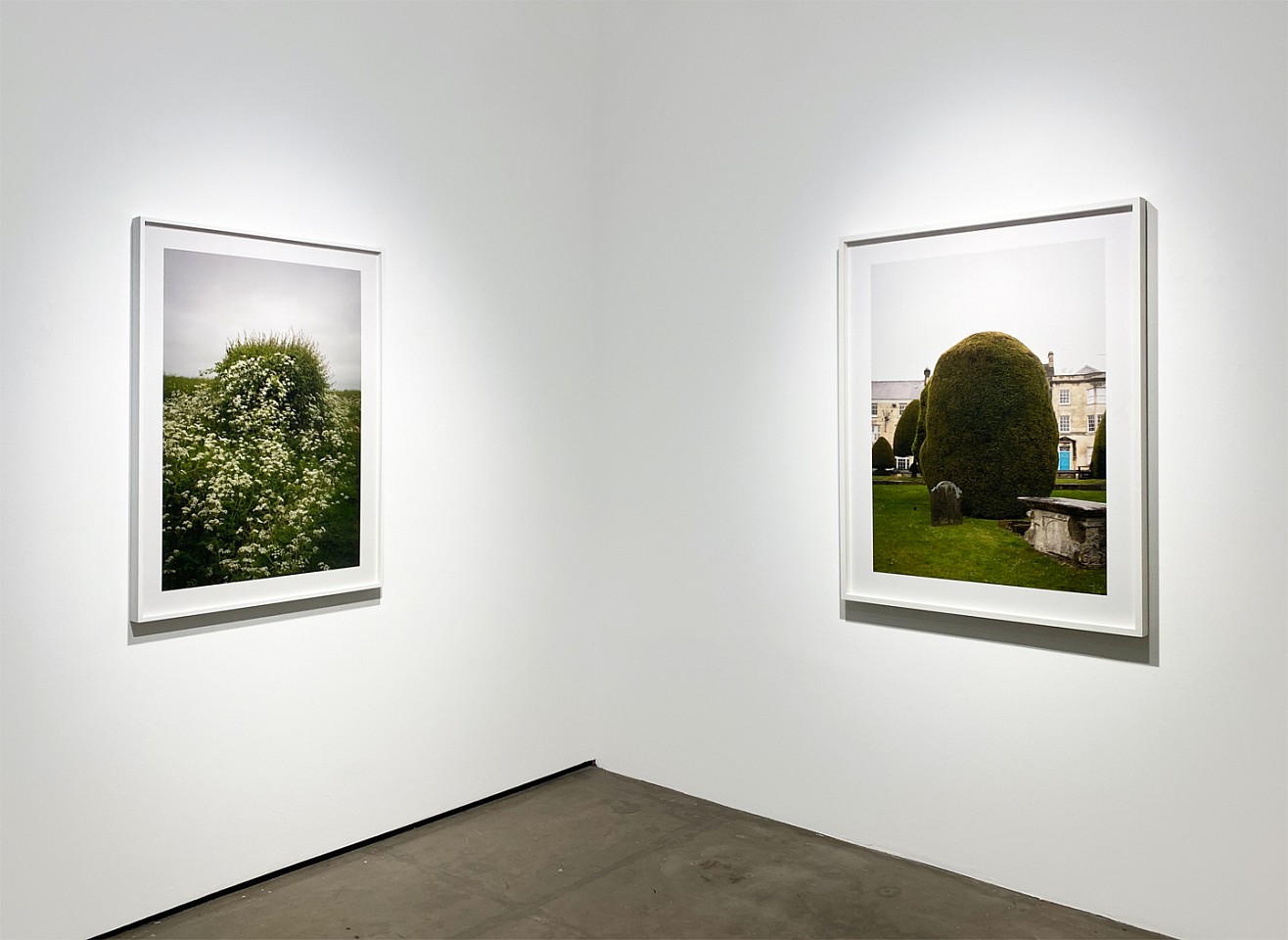 Susanna Howe
Installation Shot
HOWE
Susanna Howe, Flower Mound, 2017
Susanna Howe, Blue Door, 2017