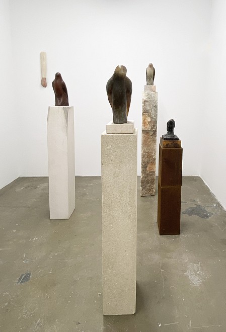 PROJECT ROOM: Jane Rosen - Installation View