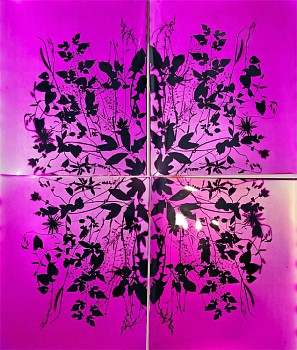 Work: Wendy Small Remedy, 2018 color photogram 48 x 40 inches SMA327