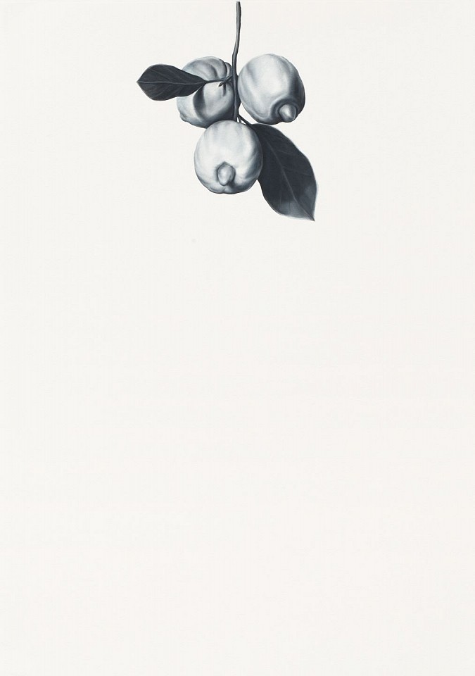 Shelley Reed
Lemons (after Cotan), 2022
REE214
oil on paper, 41 x 29 1/2 inches