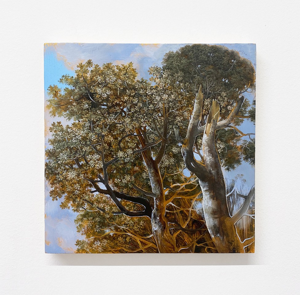 Eileen Murphy
Boca, 2021
MURPH007
oil on panel, 8 x 8 inches