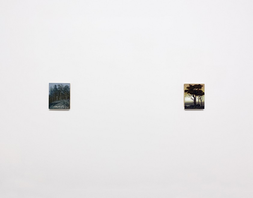 PROJECT ROOM: Eileen Murphy, I Know That Place - Installation View