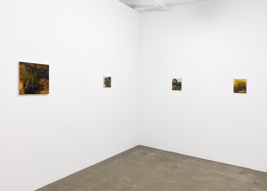 PROJECT ROOM: Eileen Murphy, I Know That Place - Installation View