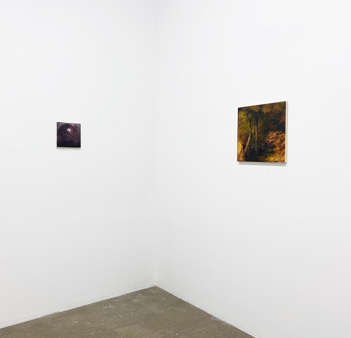 PROJECT ROOM: Eileen Murphy, I Know That Place - Installation View