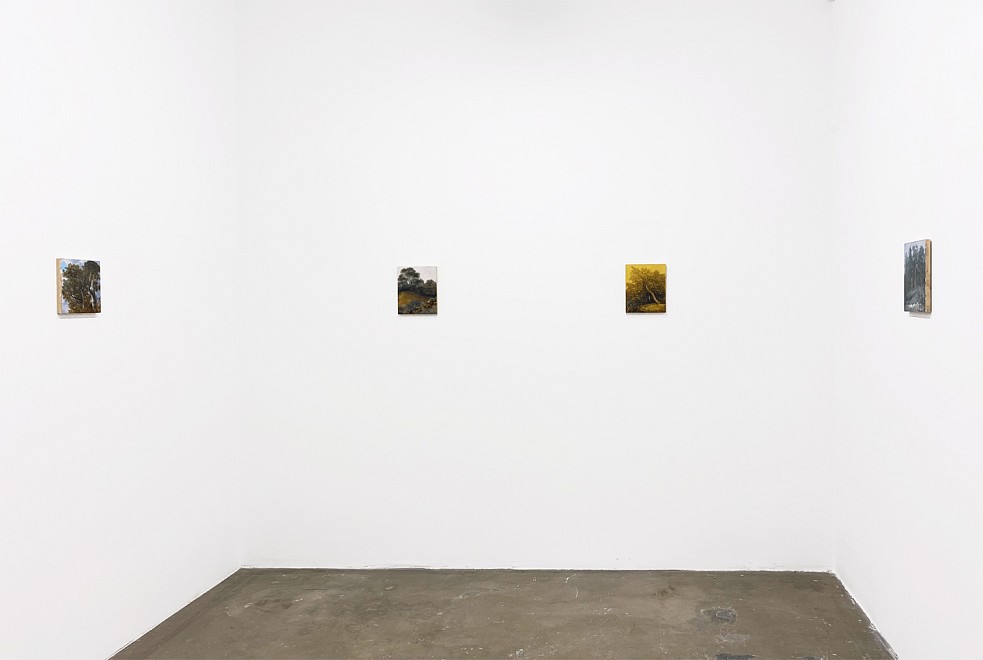 PROJECT ROOM: Eileen Murphy, I Know That Place - Installation View