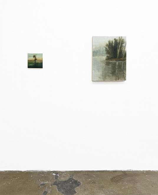 PROJECT ROOM: Poogy Bjerklie, Between the Known and Unknown - Installation View