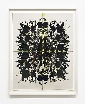 Work:&nbsp;Wendy Small Remedy 2022 Party, 2022 color photogram 22 x 28 inches / 25 x 31 inches framed SMA330