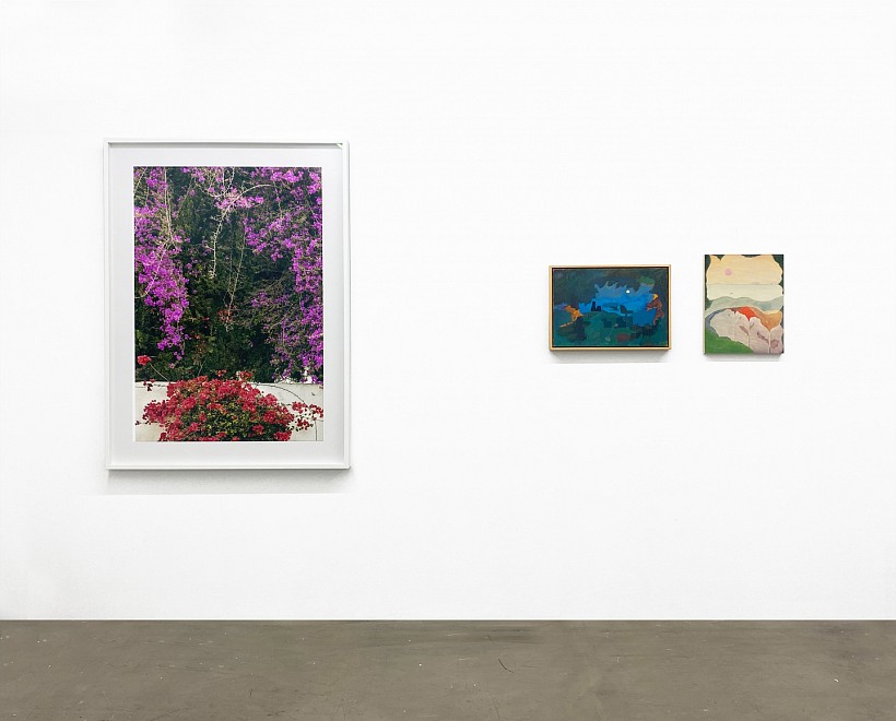 The Container Garden - Installation View