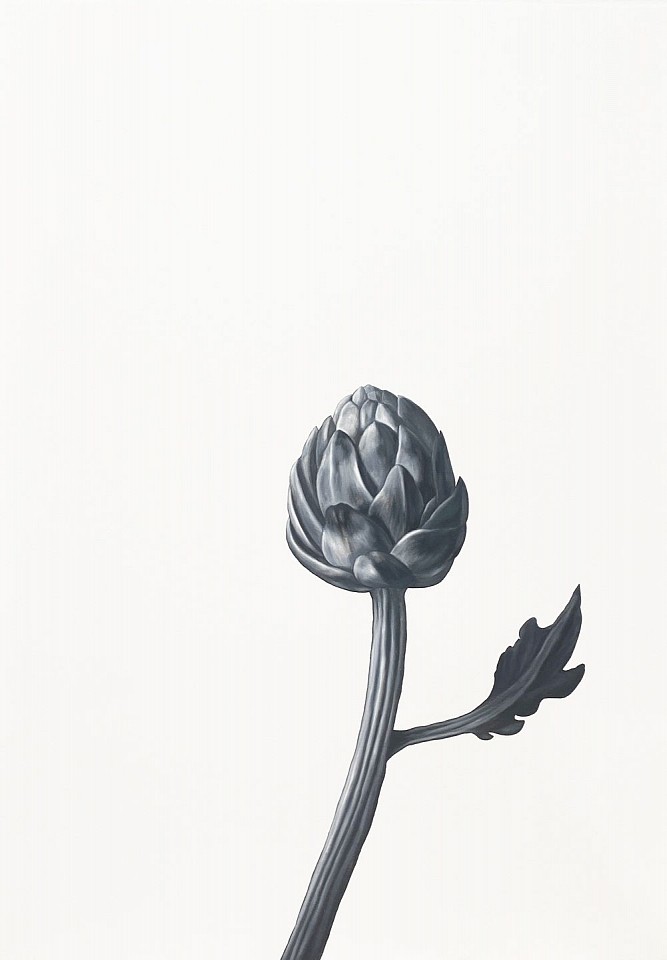 Shelley Reed
Artichoke 2 (after Snyders), 2022
REE236
oil on paper, 41 1/2 x 29 1/2 inches