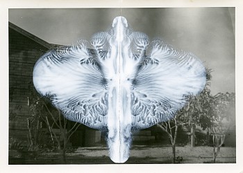 Work: Lila Co vintage photograph and nail polish 3 1/2 x 4 1/2 inches image / 10 x 10 1/2 inches framed Stein352