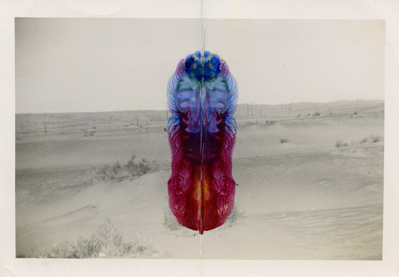 Randi Malkin Steinberger
Yuma Arizona
Stein349
vintage photograph and nail polish, 4 x 5 inches image / 10 x 11 inches framed